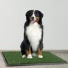 Artificial Grass Puppy Pee Pad for Dogs and Small Pets - Image 3