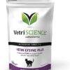VetriScience Vetri Lysine Plus, Immune and Respiratory Support Vitamins for Cats, 120 Treat Like Chews - Image 2