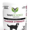 VETRISCIENCE Bladder Strength for Dogs, 90 Chewable Tablets - Vet Formulated Bladder Control Supplement with Saw Palmetto