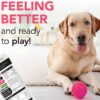 VetriScience Fast Balance GI Paste for Dogs and Cats, 35cc - Gastro Intestinal Support for Gut Health and Food Sensitivites - Image 2