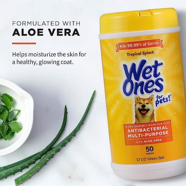 Wet Ones for Pets Multi-Purpose Dog Wipes with Aloe Vera | Dog Wipes for All Dogs in Tropical Splash - Image 3