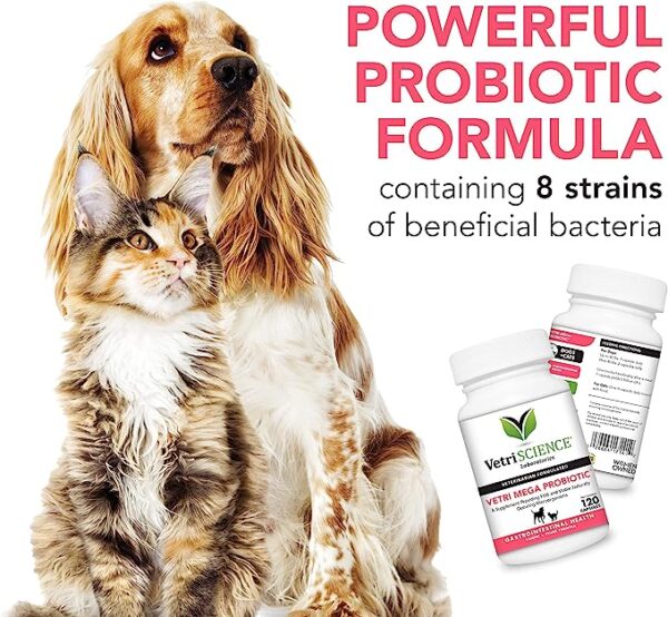 VetriScience Vetri Mega Probiotic and Prebiotic for Dogs and Cats, 180 Capsules - Digestive Relief - Easy to Give Capsules - GI Support - Image 3