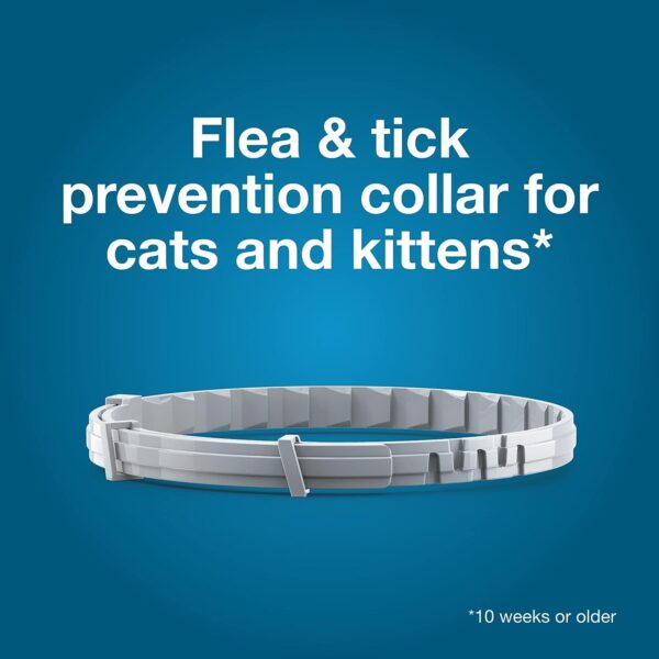 Seresto Cat Vet-Recommended Flea & Tick Treatment & Prevention Collar for Cats, 8 Months Protection | 2-Pack - Image 2