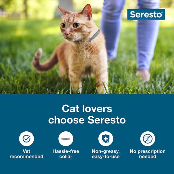 Seresto Cat Vet-Recommended Flea & Tick Treatment & Prevention Collar for Cats, 8 Months Protection | 2-Pack - Image 3