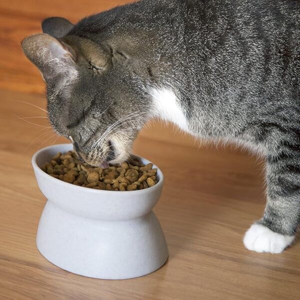 Kitty City Raised Cat Food Bowl Collection_Stress Free Pet Feeder and Waterer - Image 3