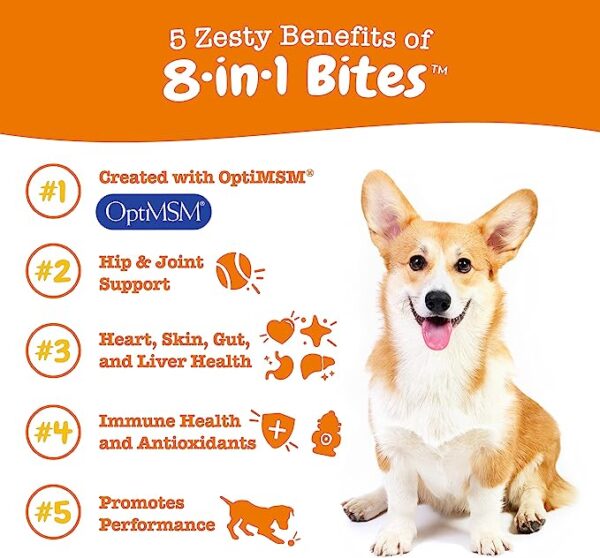 Multifunctional Supplements for Dog - Image 3