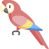 macaw.png